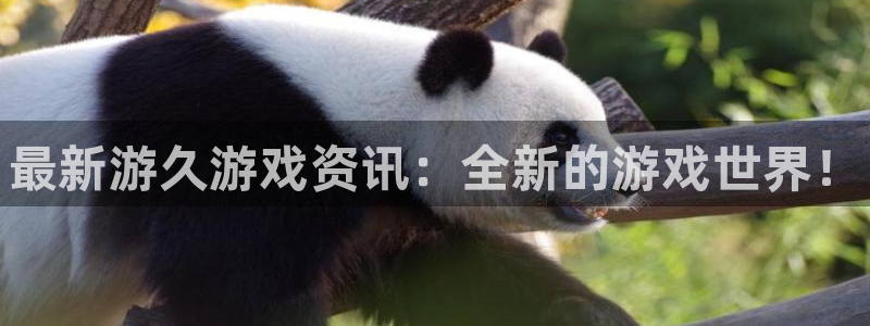 多彩娱乐网页版地址：最新游久游戏资讯：全新的游戏世界！