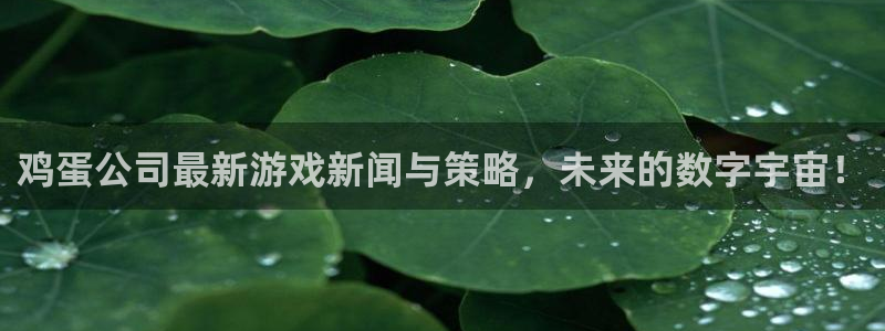 多彩娱乐的意思：鸡蛋公司最新游戏新闻与策略，未来的数字宇宙！