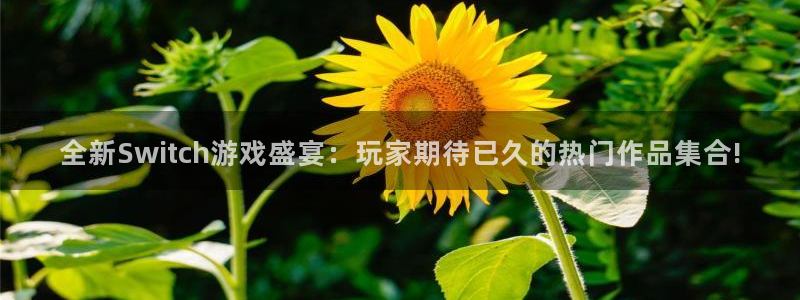 多彩娱乐娱乐：全新Switch游戏盛宴：玩家期待已久的热门作