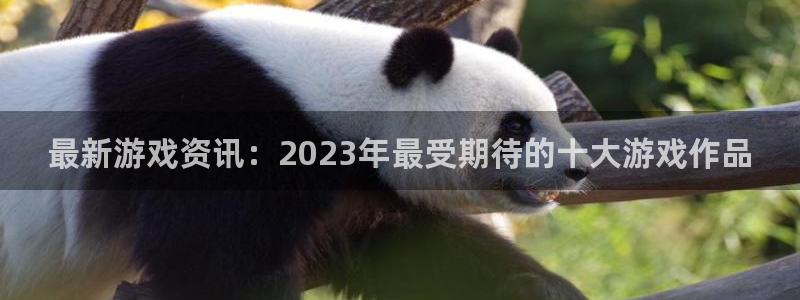 多彩娱乐登录地址：最新游戏资讯：2023年最受期待的十大游戏