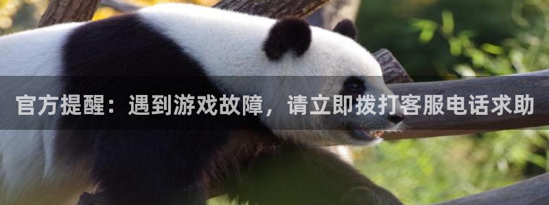 多彩娱乐app下载地址：官方提醒：遇到游戏故障，请立即拨打客