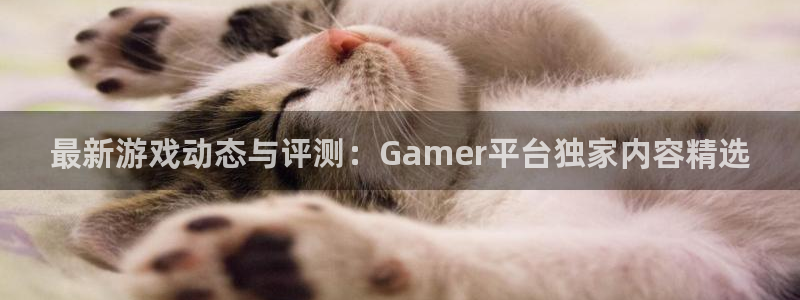 多彩娱乐注册登录平台：最新游戏动态与评测：Gamer平台独家