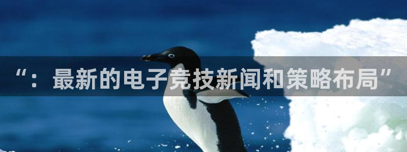 多彩娱乐网页版地址：“：最新的电子竞技新闻和策略布局”