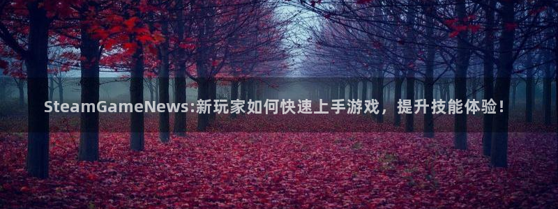 多彩娱乐什么意思