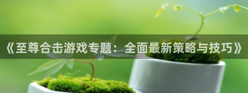 多彩娱乐平台官网登录