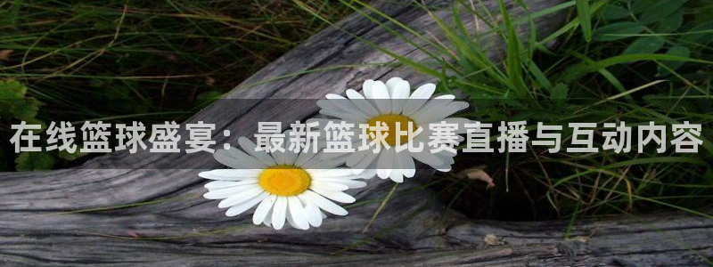 雨燕360体育直播免费观看高清：在线篮球盛宴：最新篮球比赛直播与互动内容