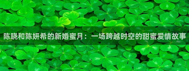360体育直播英超：陈晓和陈妍希的新婚蜜月：一场跨越时空的甜蜜爱情故事