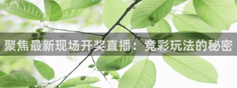 360体育直播：聚焦最新现场开奖直播：竞彩玩法的秘密
