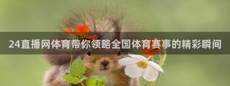 山东体育360足球直播在线观看：24直播网体育带你领略全国体育赛事的精彩瞬间