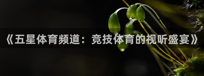 360吧体育直播在线观看：《五星体育频道：竞技体育的视听盛宴》