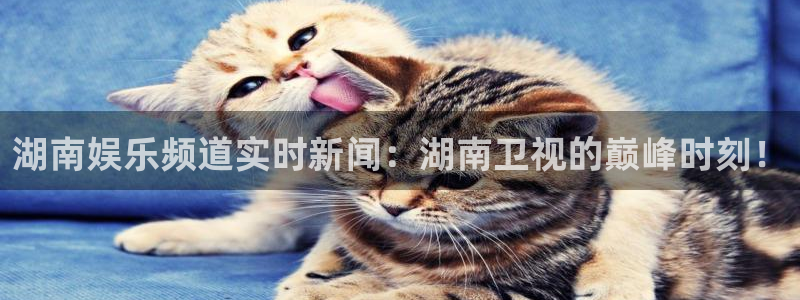 360直播足球直播平台：湖南娱乐频道实时新闻：湖南卫视的巅峰时刻！