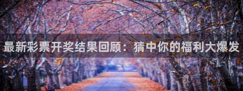 雨燕360体育免费观看赛事：最新彩票开奖结果回顾：猜中你的福利大爆发