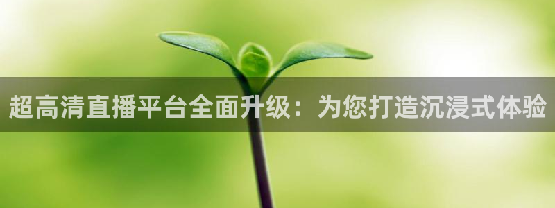 雨燕360体育直播免费：超高清直播平台全面升级：为您打造沉浸式体验