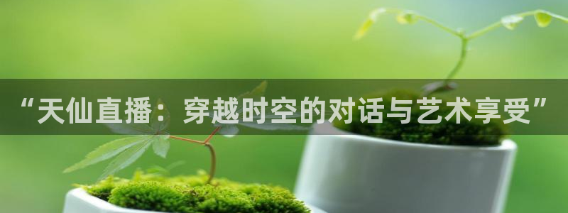 雨燕360体育直播nba：“天仙直播：穿越时空的对话与艺术享受”